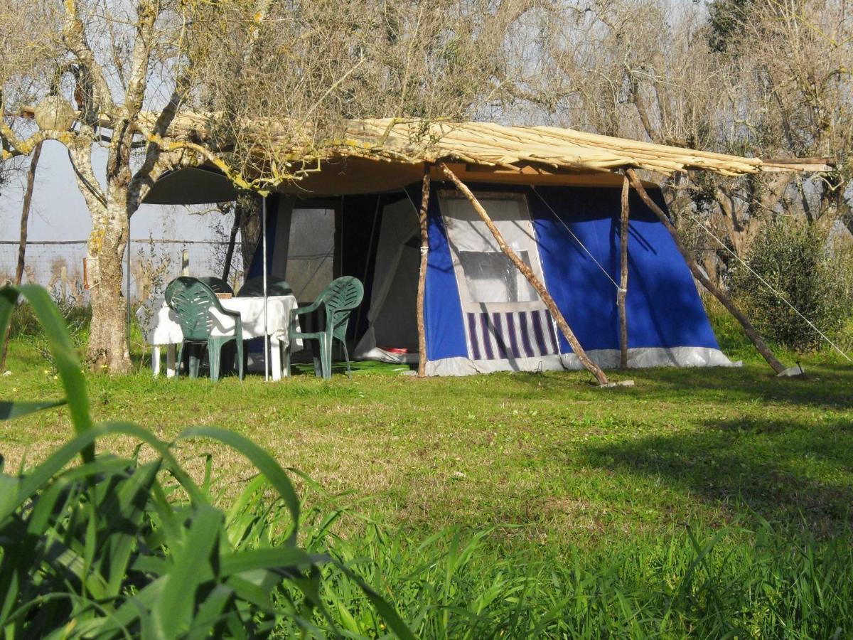 Camping Terreno-Ro-Bi-Li Hotel Cutrofiano Exterior photo